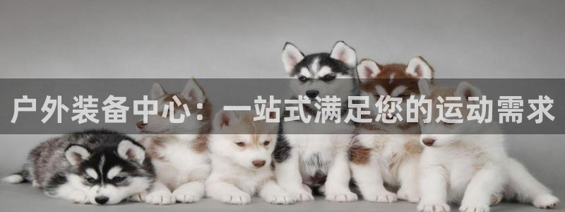 新宝gg会员登录