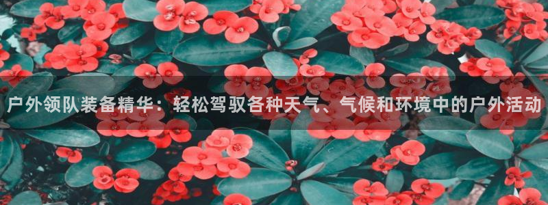 娱乐世界新宝gg