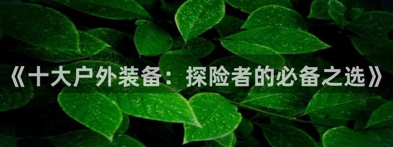 新宝gg反水