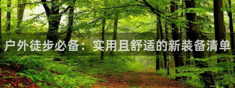 新宝gg账号