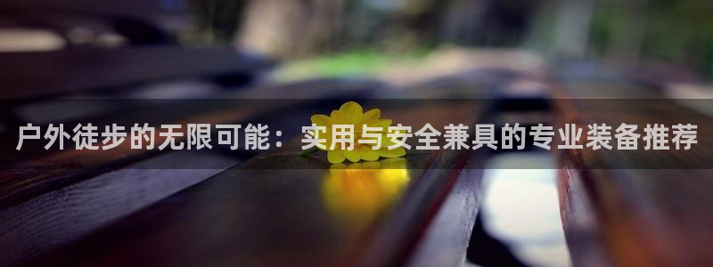 新宝创造Gg
