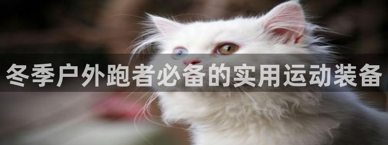 新宝GG之家