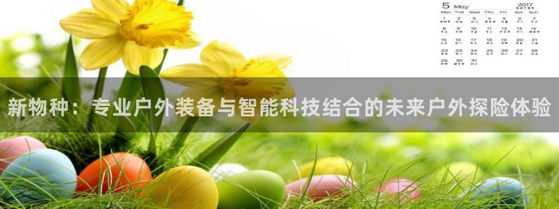 新宝gg平台连接