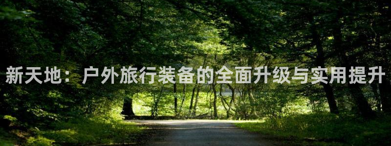 新宝gg招商致胜团队