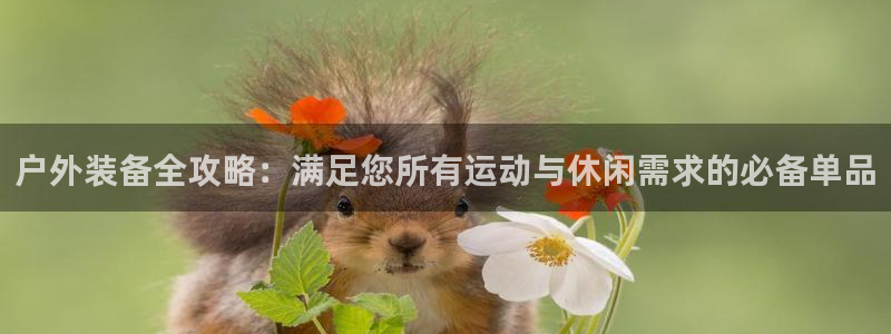 新宝gg怎样代理