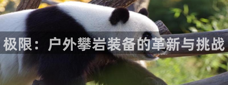 新宝gg时时彩