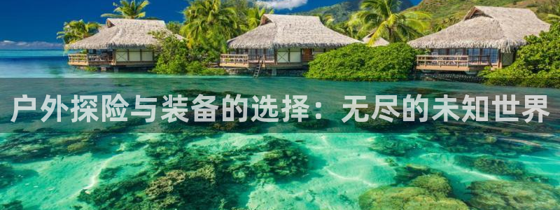 新宝gg可靠