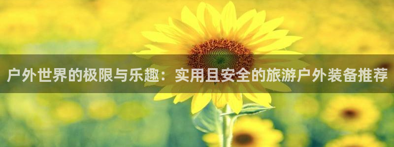 新宝gg平台下载安装