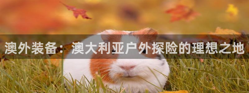 新宝gg登陆