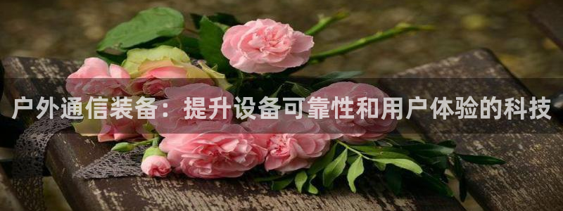 新宝gg主管