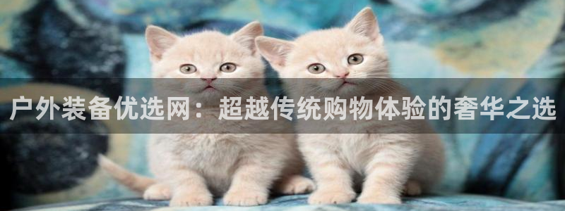 新宝gg怎样代理
