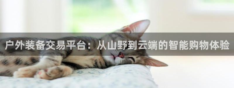 新宝gg ios下载