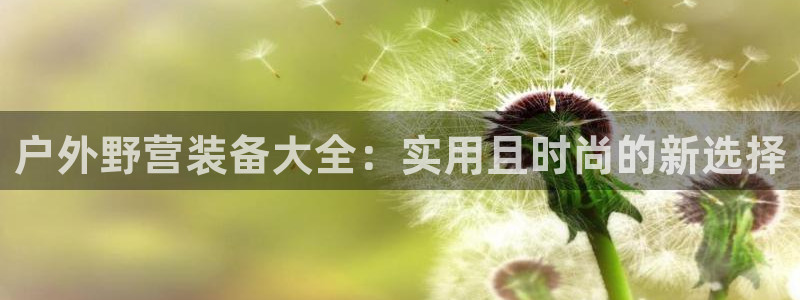 新宝gg 平台怎么样