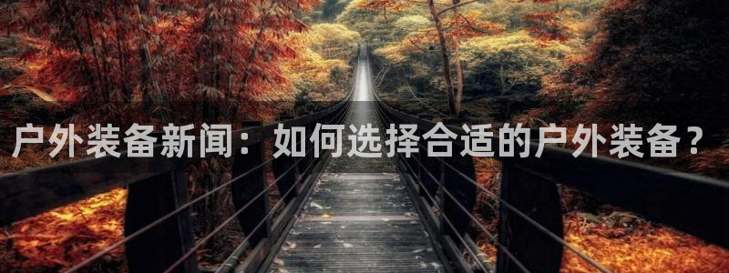 新宝gg龙虎规则