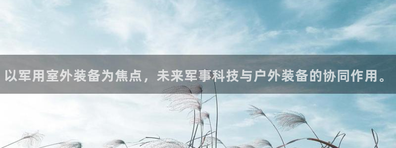 下载新宝gg怎么下载