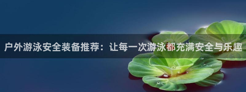 新宝GG股东