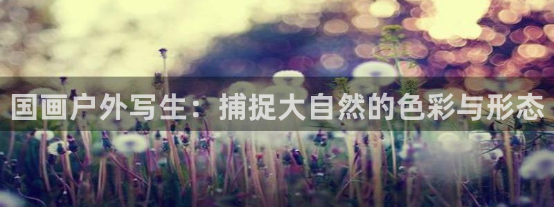 55新宝gg
