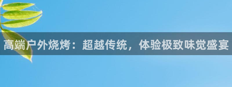 新宝gg软件