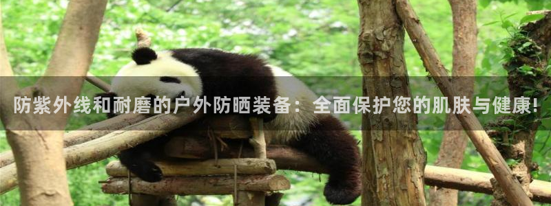 新宝gg客户端下载