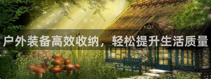 新宝gg怎样