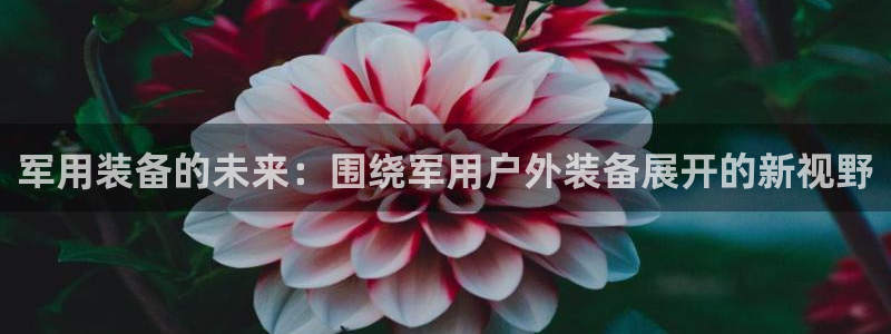 新宝皇冠gg