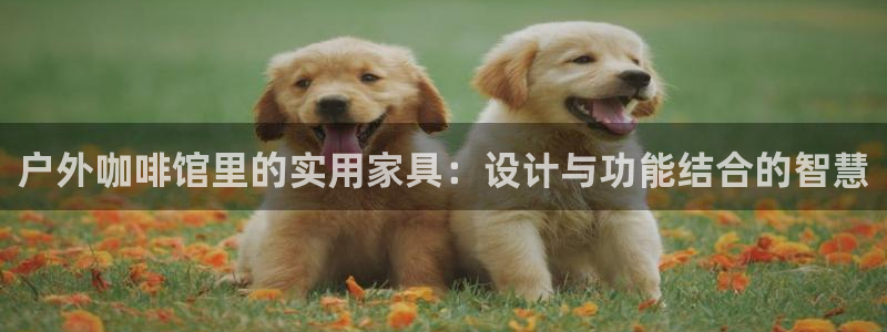 新宝GG网页