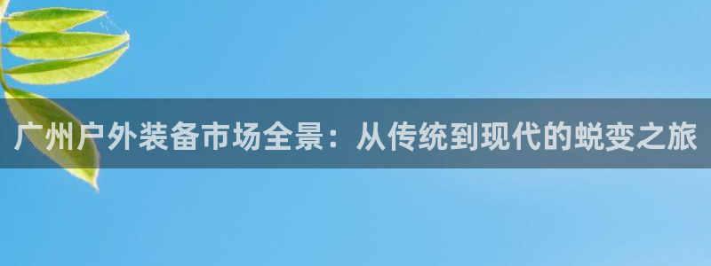 新宝gg怎样
