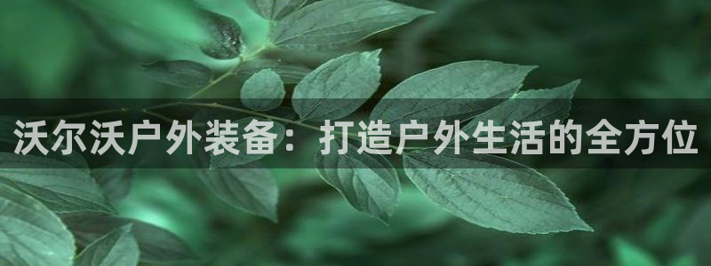 手机新宝gg