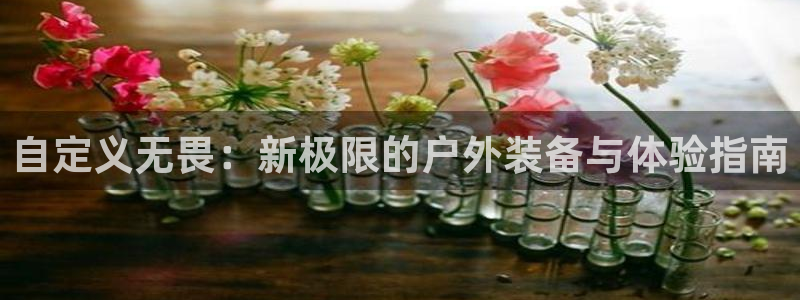 新宝gg娱乐客户端下载