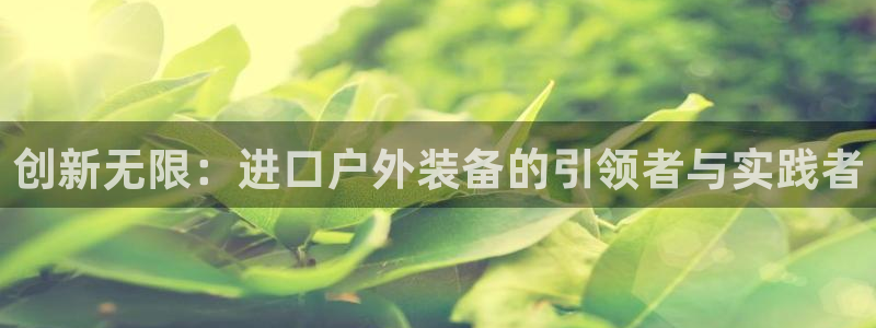 新宝gg资料
