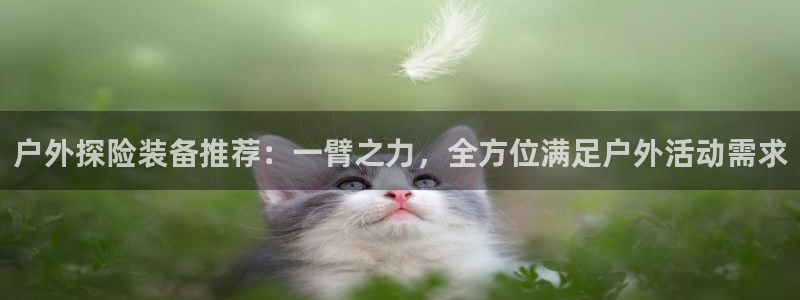 新宝_GG奇迹