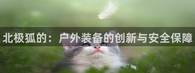 新宝gg充值