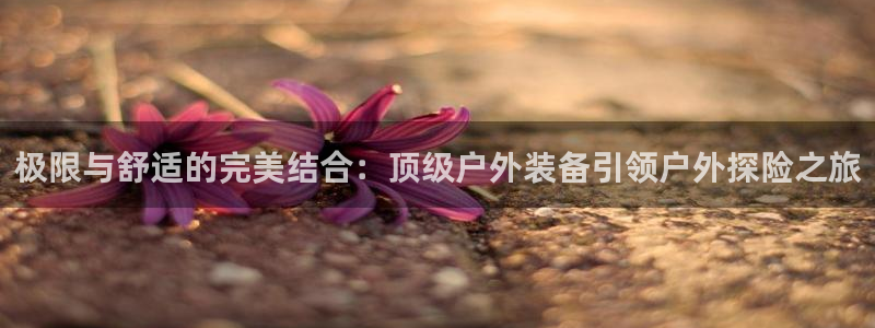 新宝gg是什么
