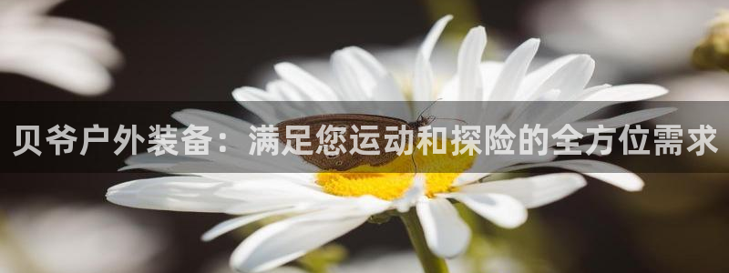 新宝gg彩票