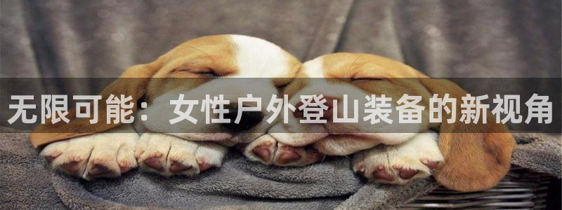 新宝gg 金苹果