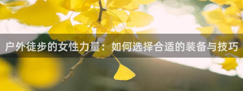 新宝gg联系