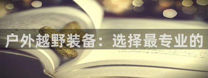 新宝gg如何