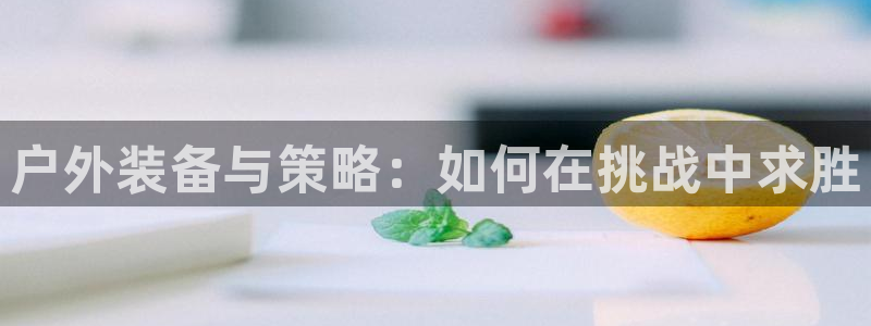 新宝gg主管48527