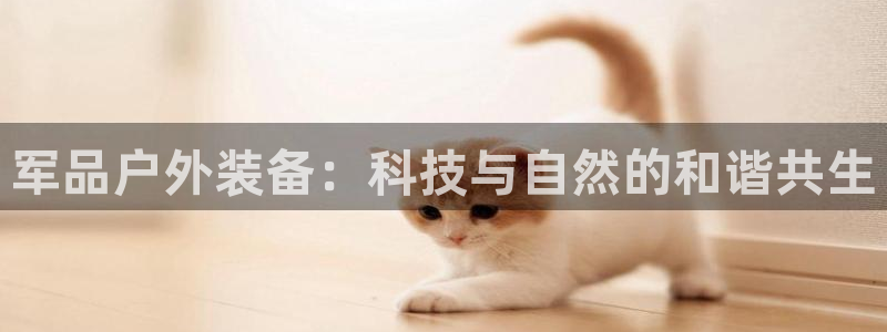 新宝gg娱乐官网