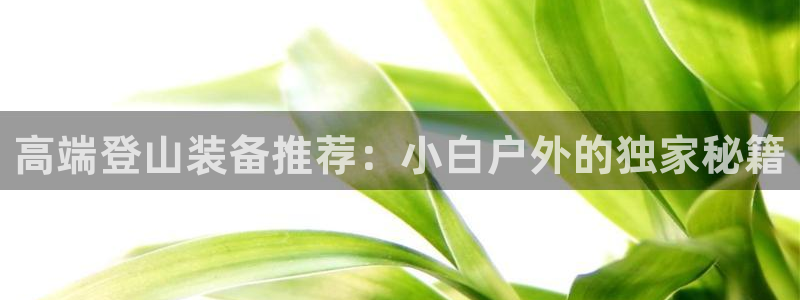 新宝gg测试