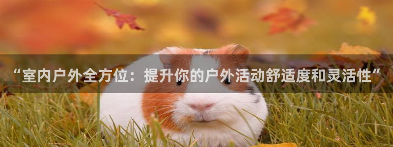 新宝创造Gg