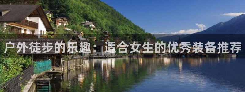 新宝gg手机登录