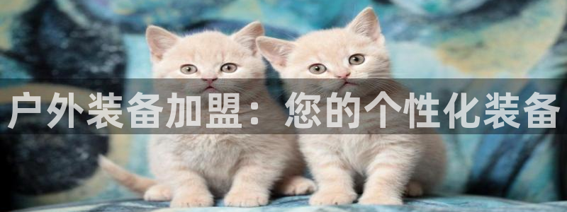 新宝gg维护