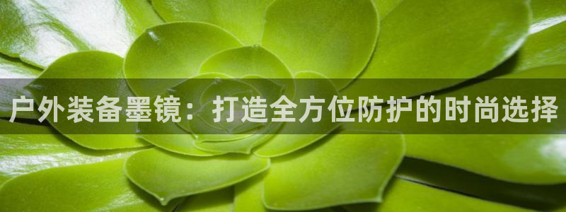 新宝gg登录平台