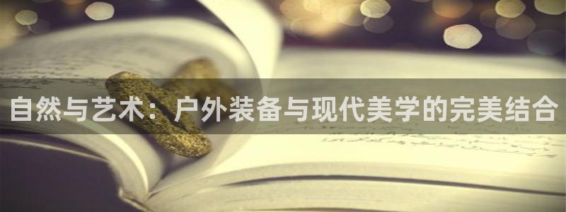 新宝 gg .com