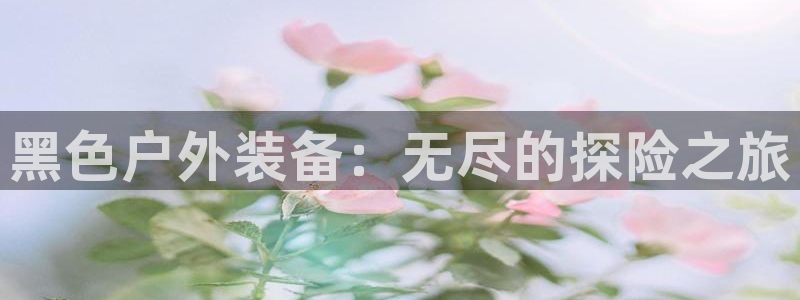 新宝GG娱