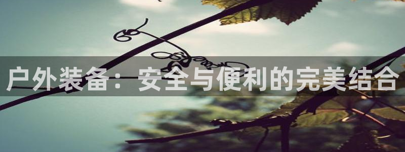 新宝gg娱乐主管q42873