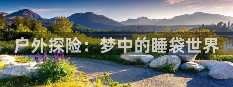新宝gg招商