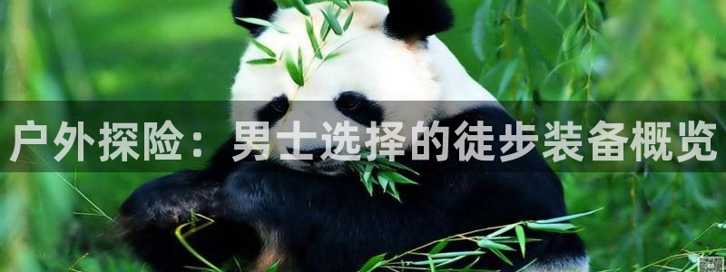 新宝gg系列