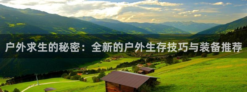 新宝gg代理登录